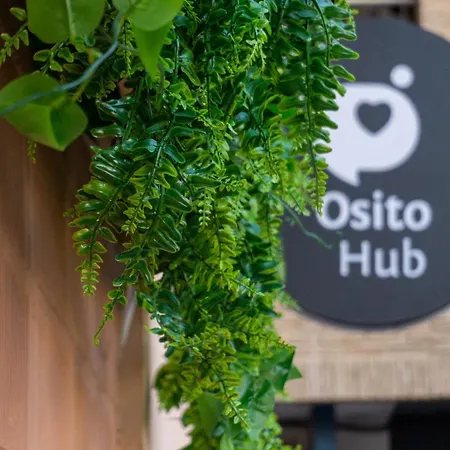 Apartment Natural Loft Osito Hub A Valencia