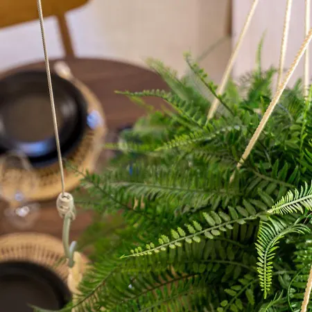 Natural Loft Osito Hub A * Walencja